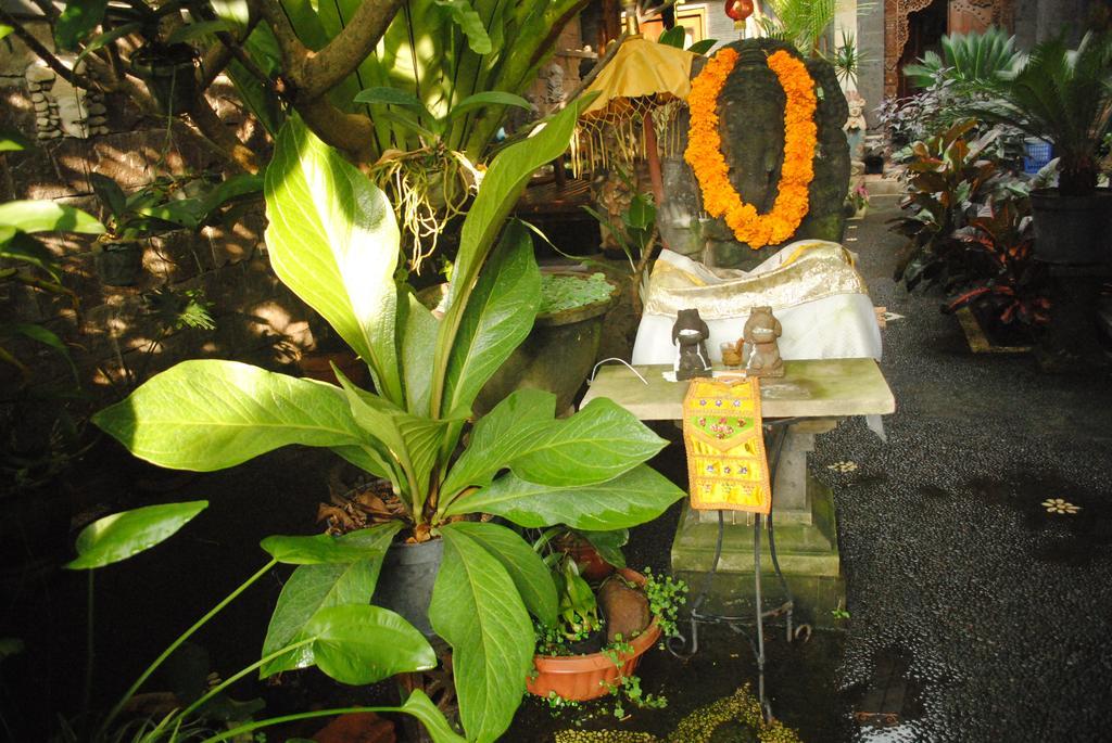 Jangkrik Homestay Ubud Buitenkant foto